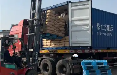Why Do South Korean Buyers Import Sweet Potato Starch from Lulong? A Look at the Loading and Shipment Process at Tongyou Potato Industry Why Do South Korean Buyers Import Sweet Potato Starch from Lulong? A Look at the Loading and Shipment Process at Tongyou Potato Industry